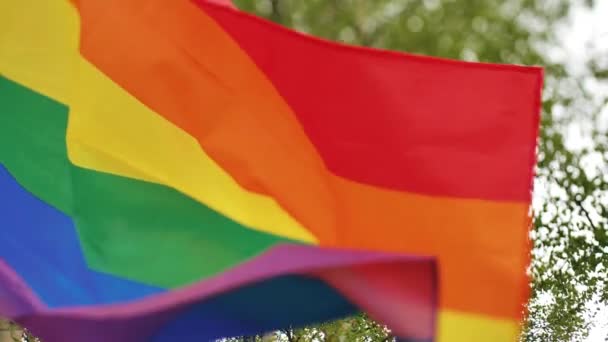Lgbtqの旗が風になびく ゲイの誇り虹のフラグをバックライトを閉じる飛んでいます 美しい緑の木々の中を旗が飛ぶ 選択的ソフトフォーカス — ストック動画