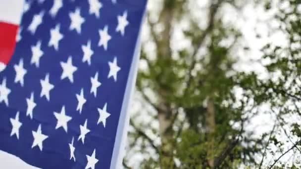 Bandeira Americana Treme Vento Bandeira Voa Fundo Belas Árvores Verdes — Vídeo de Stock