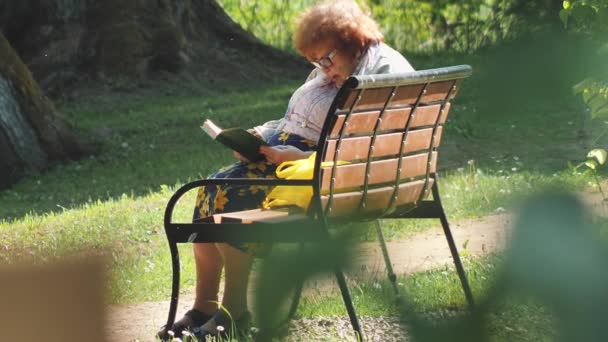 Una Anciana Está Sentada Banco Del Parque Leyendo Libro Relajarse — Vídeo de stock