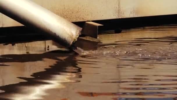 自然中的水污染 脏水通过管子流入河里 对环境和水体的污染 生态灾难 脏水从管子里流出来 水污染 — 图库视频影像