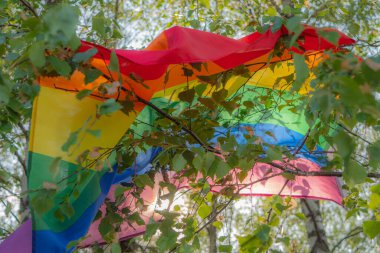 Ağaç dallarına eklenmiş renkli bir LGBT bayrağı yemyeşil ağaç dallarına karşı rüzgarda dalgalanıyor. İnsan hakları ve özgürlüğüne yakından baktığını belirten bir LGBT sembolü. Yumuşak seçici odak.