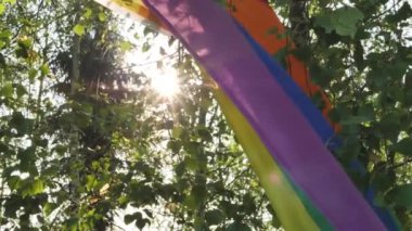Ağaç dallarına eklenmiş renkli bir LGBT bayrağı yemyeşil ağaç dallarına karşı rüzgarda dalgalanıyor. İnsan hakları ve özgürlüğüne yakından baktığını belirten bir LGBT sembolü. Yumuşak seçici odak.