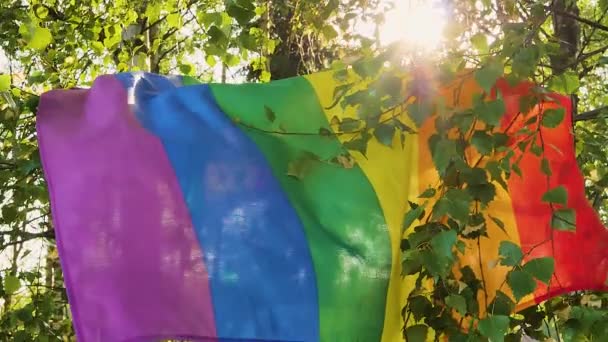 Eine Bunte Lgbt Flagge Birkenzweigen Flattert Wind Gegen Sattgrüne Baumzweige — Stockvideo