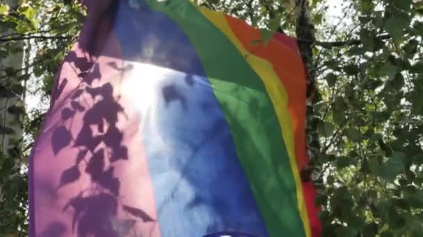 Una Colorida Bandera Lgbt Unida Las Ramas Abedul Ondea Viento — Vídeo de stock
