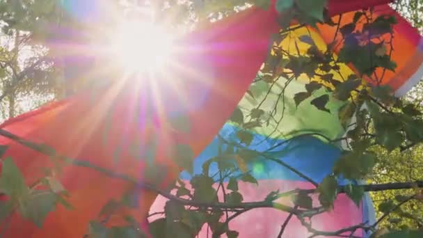 Ağaç Dallarına Eklenmiş Renkli Bir Lgbt Bayrağı Yemyeşil Ağaç Dallarına — Stok video