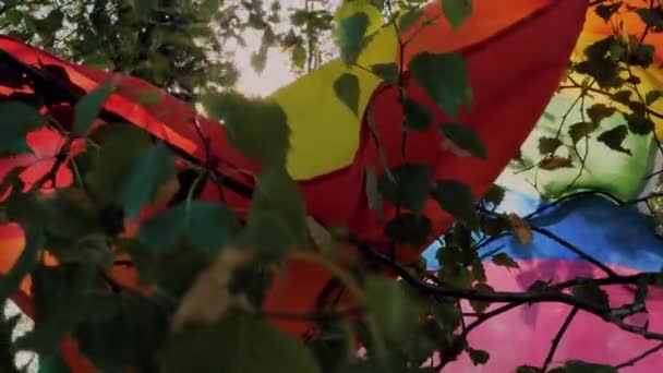 Eine Bunte Lgbt Flagge Birkenzweigen Flattert Wind Gegen Sattgrüne Baumzweige — Stockvideo