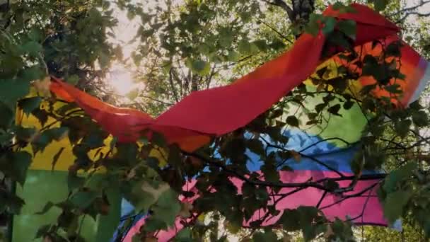 Een Kleurrijke Lgbt Vlag Bevestigd Aan Berken Takken Fladdert Wind — Stockvideo