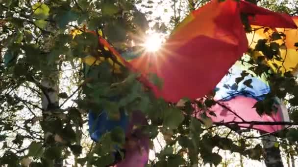 Kolorowa Flaga Lgbt Przymocowana Gałęzi Brzozy Trzepocze Wietrze Przeciwko Bujnym — Wideo stockowe