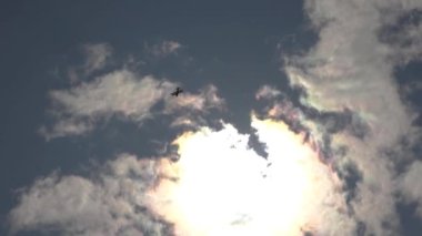 Özel uçak kazası. Aerobatik simülasyon sırasında küçük bir uçak. Uçak motoru arızalandı, uçak düşerken motordan beyaz duman çıkıyor. Uçak motoru arızası. Uçak kazaları..