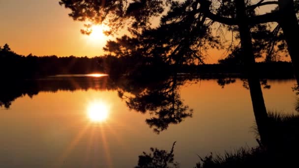 Golden Sunset Lake Beautiful Sunset Lake Low Sun Reflects Water — Stock Video
