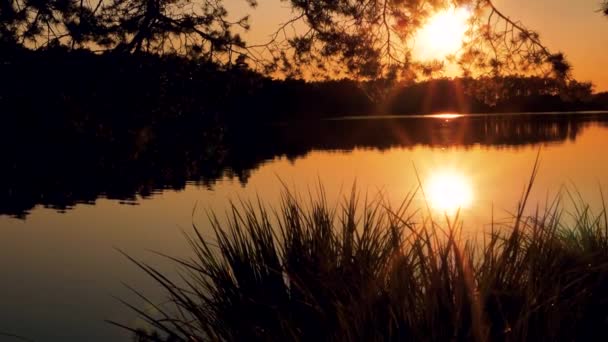 Atardecer Dorado Junto Lago Hermosa Puesta Sol Junto Lago Sol — Vídeo de stock