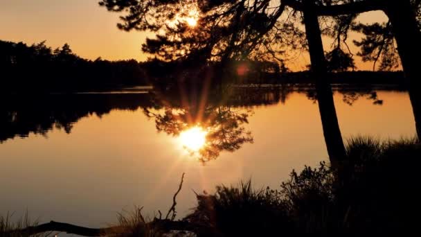 湖边金色的落日湖边美丽的落日 阳光照射在水面上 软性选择性重点 — 图库视频影像