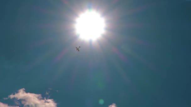 Absturz Eines Privatflugzeugs Ein Kleines Flugzeug Während Einer Kunstflugsimulation Flugzeugtriebwerk — Stockvideo