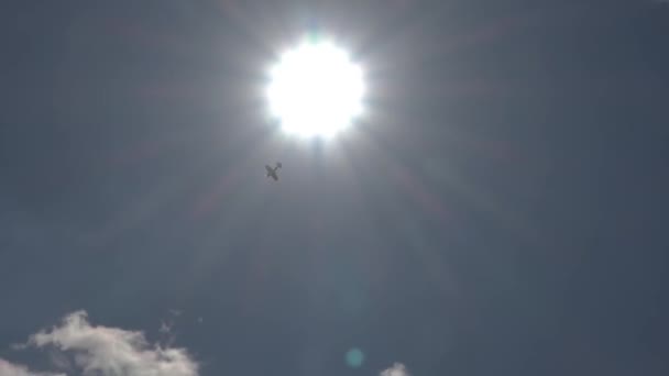 Özel Uçak Kazası Aerobatik Simülasyon Sırasında Küçük Bir Uçak Uçak — Stok video