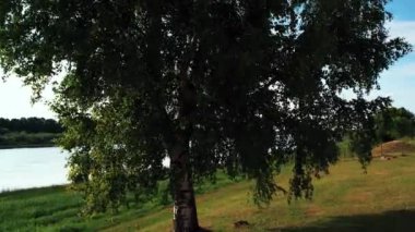 Daugava Nehri, küçük Livani kasabasının yanında. Küçük kasabanın yanındaki nehir kıyısında.