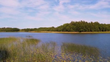 Daugava Nehri, küçük Livani kasabasının yanında. Küçük kasabanın yanındaki nehir kıyısında.