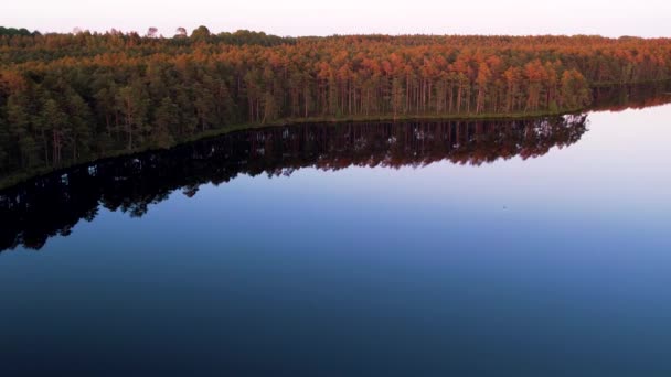 从无人侦察机上落山时的湖面拉脱维亚沼泽湖在日落时 美丽的Purezer湖 — 图库视频影像