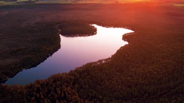 Sjön Vid Solnedgången Från Drönare Lettiska Träsksjön Vid Solnedgången Vacker — Stockvideo