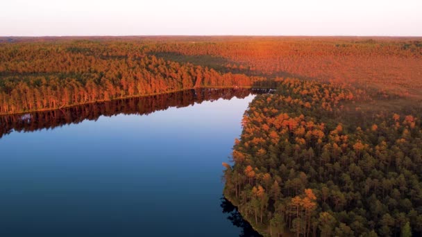 Lago Pôr Sol Drone Lago Pântano Letão Pôr Sol Lindo — Vídeo de Stock