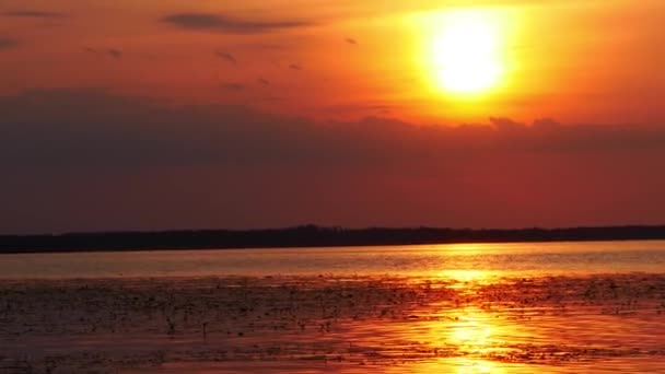 湖畔的红霞 日落时天气炎热 沙漠上戏剧性的红色落日 热浪灼热的太阳 气候变化 全球变暖 — 图库视频影像