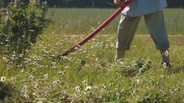 Çimleri tırpanla kesiyor. Adamın biri tırpanla çim biçiyor. Kırsalda el işi.