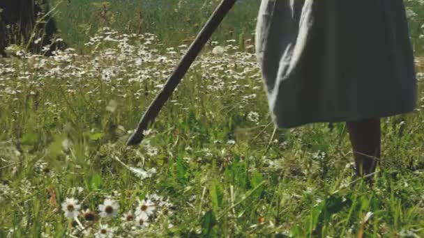 Çimleri Tırpanla Kesiyor Bir Kadın Tırpanla Çim Biçiyor Kırsalda Işi — Stok video