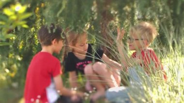 Çocuklar yeşil bir ağacın altında oynuyorlardı. Komik çocuklar çimenlerde otururken kekeliyorlar. Yumuşak seçici odak