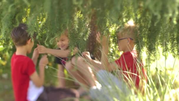 子供たちは緑の木の下で遊んでいた 草の上に座っている間に面白い子供たち 柔らかい選択的フォーカス — ストック動画