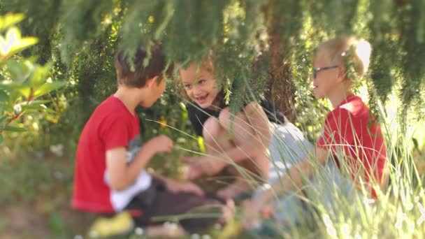 Barn Lekte Ett Grönt Träd Lustiga Barn Stammar Medan Sitter — Stockvideo