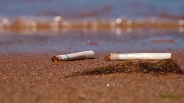 Garbage Seashore Cigarette Butt Tossed Sea Sand Environmental Pollution Nature — 图库视频影像