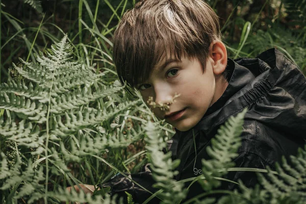 Pojken Gömde Sig Skogen Barnet Gömde Sig Ormbunkarna Mjukt Selektivt — Stockfoto