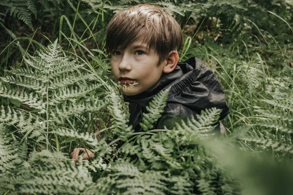 Chłopiec Ukrywał Się Lesie Dziecko Ukryło Się Paprociach Miękkie Ukierunkowanie — Zdjęcie stockowe