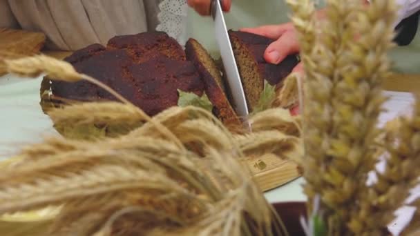 Wholemeal Bread Cut Slices Knife Bread Day Latvia Honoring Bread — Stock Video