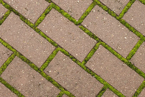 Γκρο Πλαν Άποψη Του Οδοστρώματος Πράσινα Βρύα Μεταξύ Τούβλων Γεωμετρικό — Φωτογραφία Αρχείου