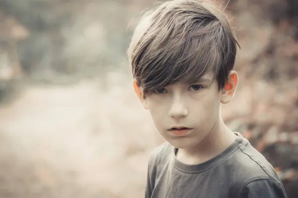 Chlapec Dívá Fotoaparátu Dítě Užívá Přírody Lese Měkké Selektivní Zaměření — Stock fotografie