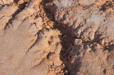 Boş Kumsal Parlak Kum ve Tarafsız Arkaplan ile Toprak dokusu. Parlak bir gün. Boş kumsal. Kumlu toprak. Kıyıya yakın çekim. Huzurlu doğa.
