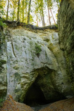 Serene orman patikası doğanın güzelliğini gözler önüne seriyor, insan olmadan. Huzurlu Yol Doğanın Güzelliğinde Bir Yolculuk