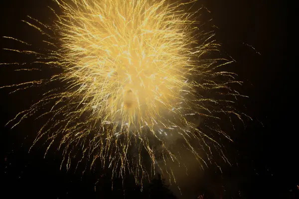New Year Fireworks Sky Fireworks Dark Sky — Stock Photo, Image