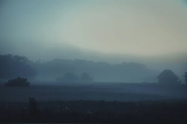Mgła Zbliża Się Nad Łąką Mgła Mgły Łące Miękkie Ukierunkowanie — Zdjęcie stockowe