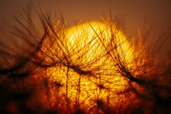 Terk Edilmiş Güneşli Alan Parlayan Sarı Güneş Işığıyla Aydınlatıldı Parlak — Stok fotoğraf