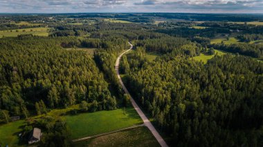 Yeşil Çayırlık ve Doğanın Güzel Hava Manzaralı Huzurlu Kırsal Tepesi. Geniş yeşil tarlalar ufka kadar uzanır, sakin ve el değmemiş..
