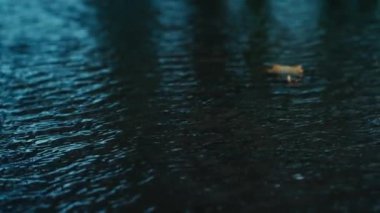 Su birikintisi. Kuvvetli bir rüzgar suda dalgalar yaratıyor.