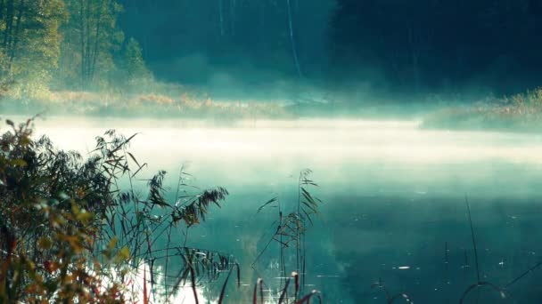 Fumar Sobre Lago Névoa Sobre Água Lago Águas Escuras Dramáticas — Vídeo de Stock