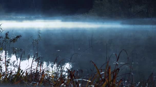 Fumar Sobre Lago Névoa Sobre Água Lago Águas Escuras Dramáticas — Vídeo de Stock