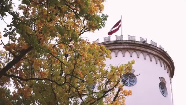 Latvian Flag Flutters Wind Yellow Autumn Oak Leaves — Stock Video