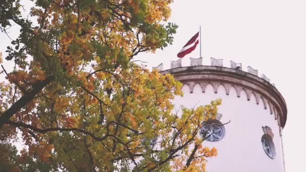 Die Lettische Flagge Flattert Wind Hinter Gelben Herbsteichenblättern — Stockvideo