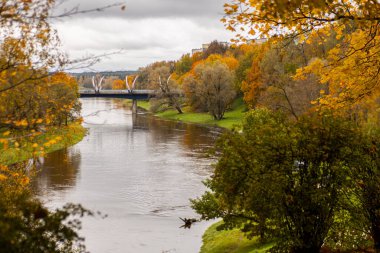 Valmiera Gauja nehrinin kıyısı sonbaharda parlak sarı yapraklarla kaplıdır. Valmiera 'da altın sonbahar. Yumuşak seçici odak