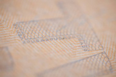 20 kağıt para makrosu. 20 dolarlık banknot için Super Macro. Finansal Zenginlik: Bankacılık ve Yatırımda Sermaye ve Kâr. Para birimi ve harflerle sembolize edilen mali büyüme.