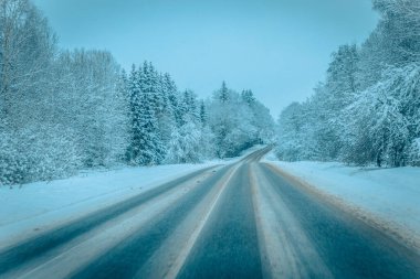 Karla kaplı ağaçlarla dolu soğuk bir ormanın içinden geçen soğuk bir yol. Karlı ormanda kış yolu, ağaçlar ve soğuk hava..