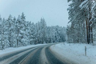 Karla kaplı ağaçlarla dolu soğuk bir ormanın içinden geçen soğuk bir yol. Karlı ormanda kış yolu, ağaçlar ve soğuk hava..